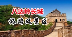 操大逼网站哪里有中国北京-八达岭长城旅游风景区